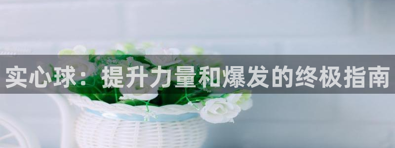 极悦官方网站app下载:实心球:提升力量和爆发的终极指南