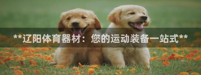 极悦平台注册官网下载:**辽阳体育器材:您的运动装备一站式*