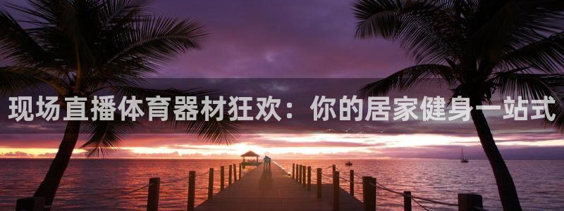 极悦娱乐官网客服联系方式查询:现场直播体育器材狂欢:你的居家