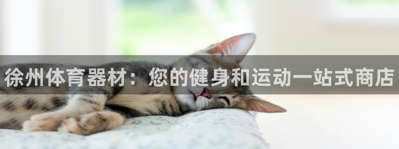 极悦平台的注册流程及注意事项有哪些:徐州体育器材:您的健身和