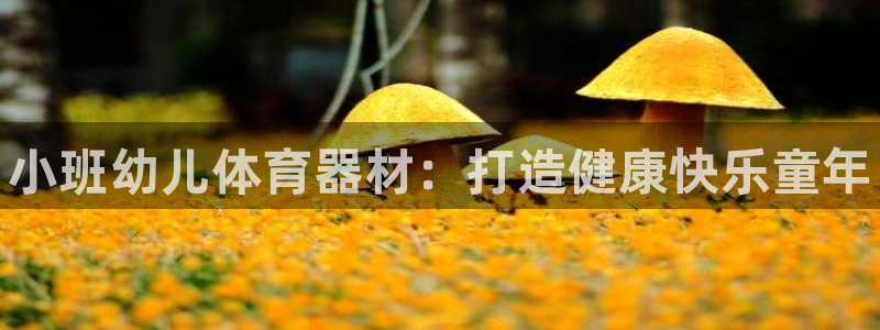 极悦平台注册用户名格式不正确:小班幼儿体育器材:打造健康快乐