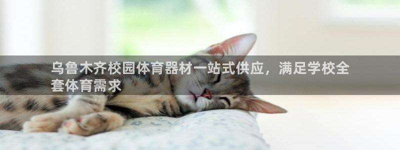 极悦平台官网登录网址是什么:乌鲁木齐校园体育器材一站式供应,