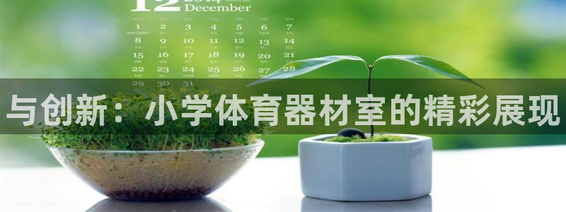 极悦娱乐挂机赚钱是真的吗知乎:与创新:小学体育器材室的精彩展